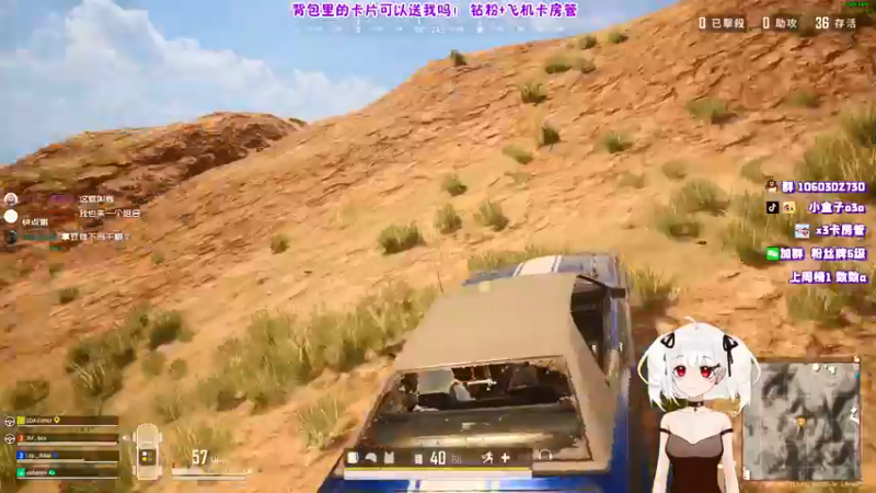 【2021-12-03 03点场】小盒子u：小盒子：抓一个小狮子折磨