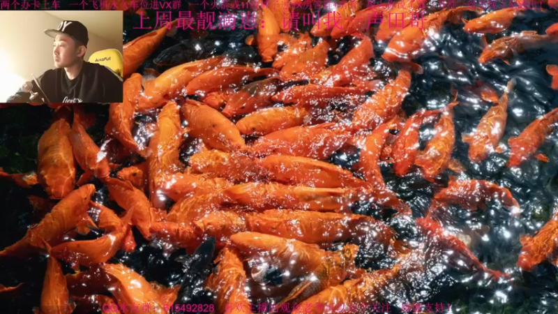【2021-12-02 15点场】主播世贤：总结，反思，进步，提高！