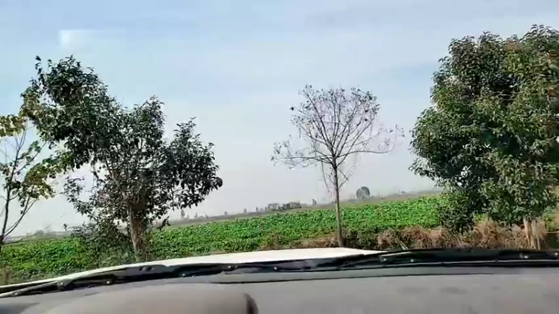 【2021-12-03 12点场】洪湖小肖：高压锅联赛前40奖励土鸡蛋