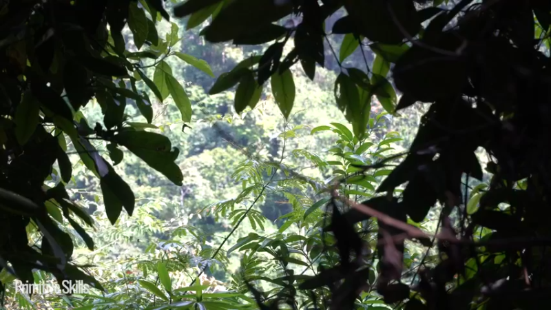 《隐居生活10生态竹筏6【如果你想净身隐居，你需要会的技能都在这里】