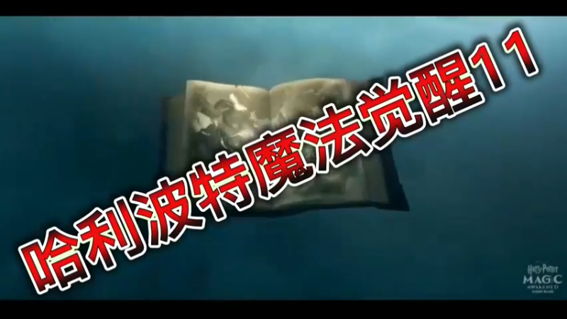 哈利波特魔法觉醒11