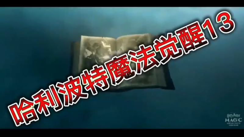 哈利波特魔法觉醒13