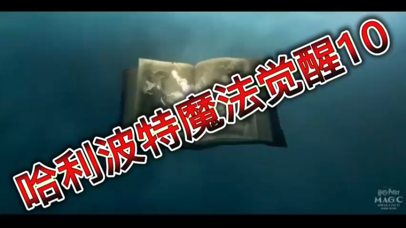 哈利波特魔法觉醒10