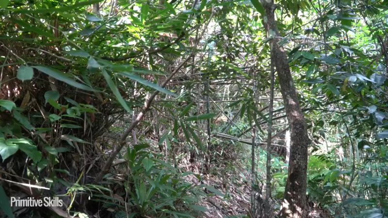 《隐居生活10生态竹筏5【如果你想净身隐居，你需要会的技能都在这里】