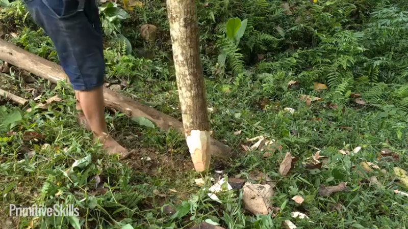 《隐居生活8淋浴间3【如果你想净身隐居，你需要会的技能都在这里】
