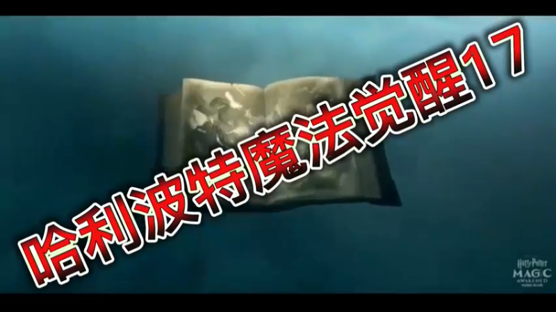哈利波特魔法觉醒17