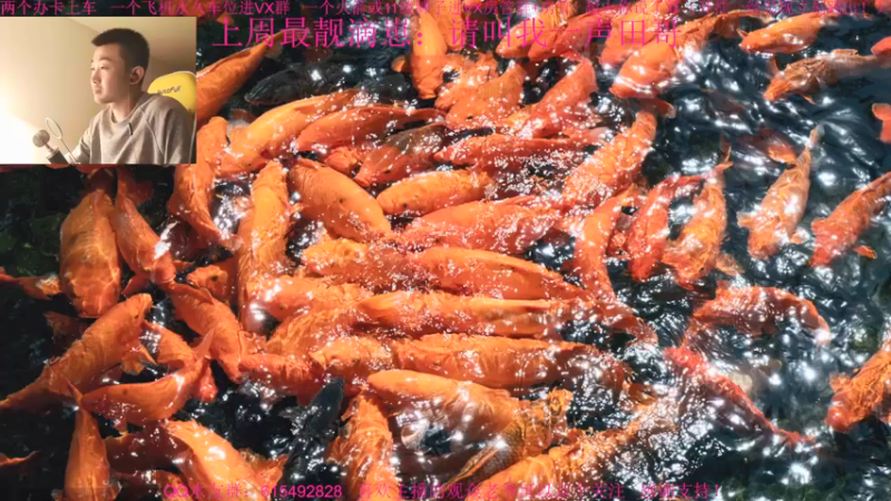 【2021-12-03 16点场】主播世贤：总结，反思，进步，提高！