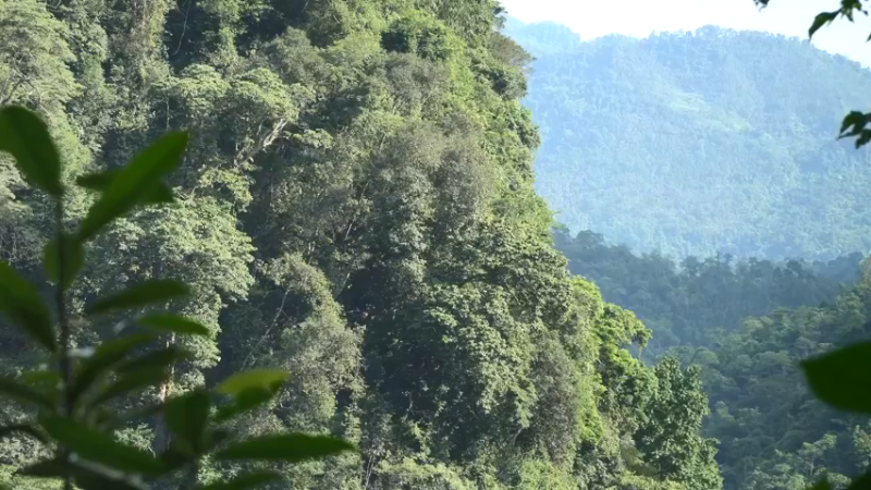 《隐居生活9草鞋达人1【如果你想净身隐居，你需要会的技能都在这里】