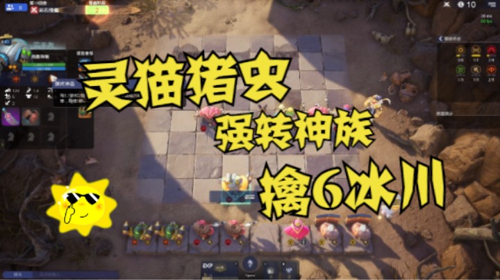 强行大后期！灵猫猪虫强转神族擒6冰川