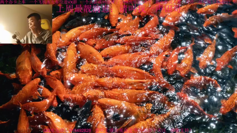 【2021-12-03 18点场】主播世贤：总结，反思，进步，提高！