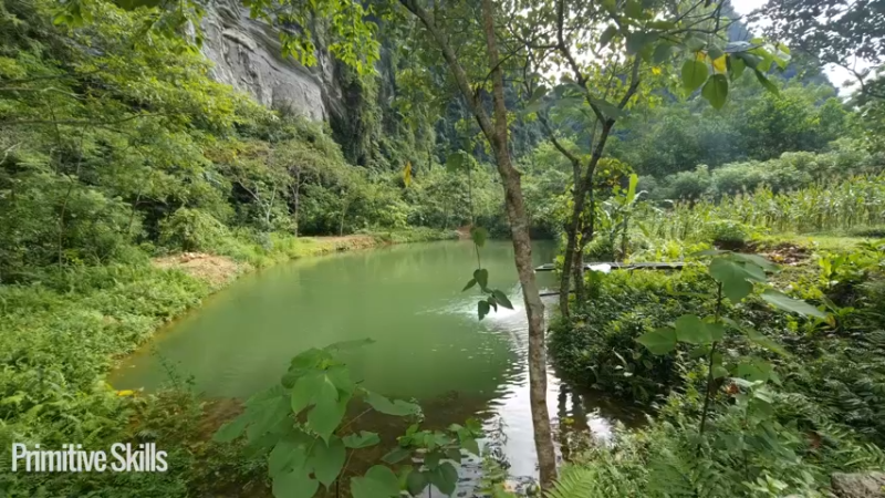 《隐居生活7管理水源阀10【如果你想净身隐居，你需要会的技能都在这里】