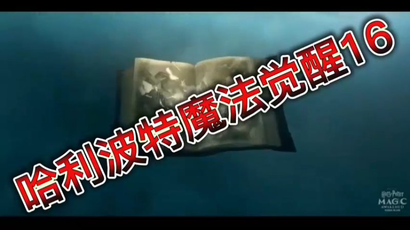 哈利波特魔法觉醒16