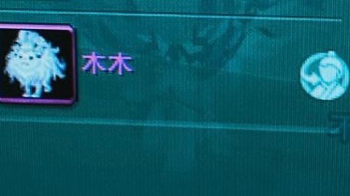 直播回放