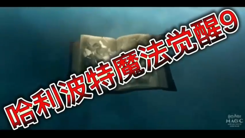 哈利波特魔法觉醒9