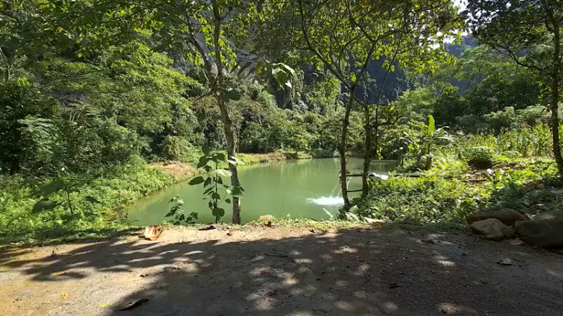 《隐居生活8淋浴间1【如果你想净身隐居，你需要会的技能都在这里】