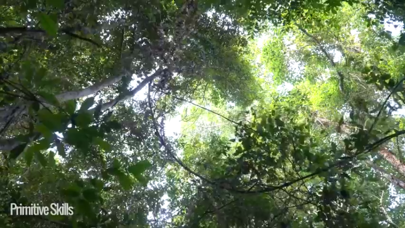《隐居生活9草鞋达人5【如果你想净身隐居，你需要会的技能都在这里】
