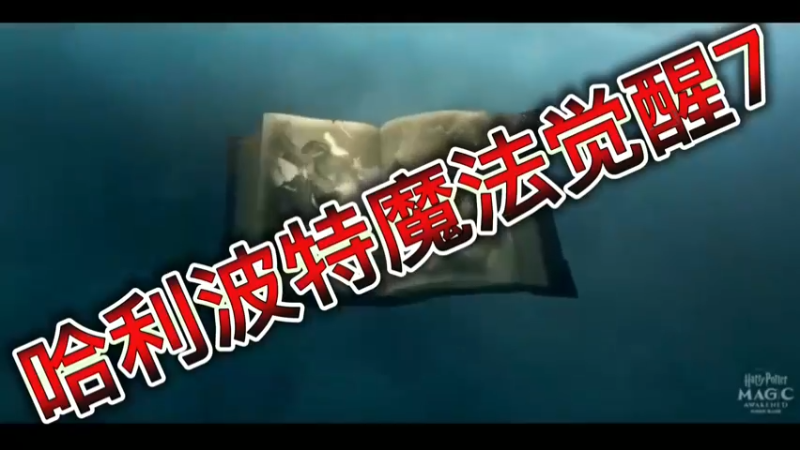 哈利波特魔法觉醒7