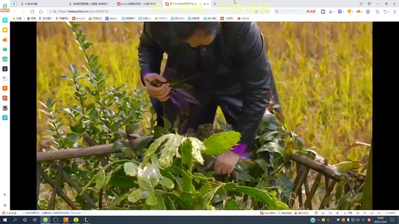 【2021-12-04 16点场】恶霸提莫：提莫老祖，1300冲1500