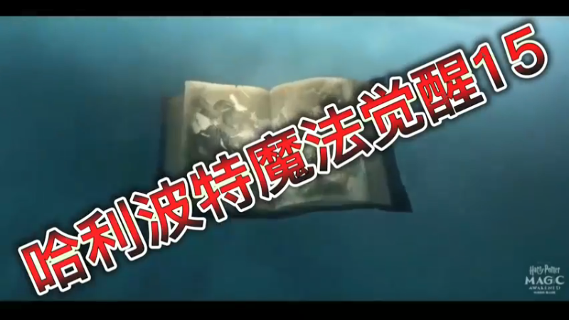 哈利波特魔法觉醒15