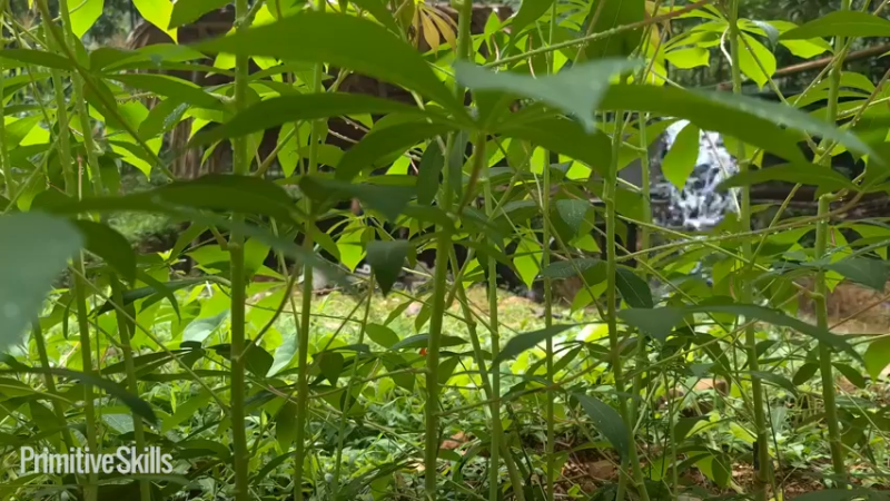 《隐居生活8淋浴间15【如果你想净身隐居，你需要会的技能都在这里】