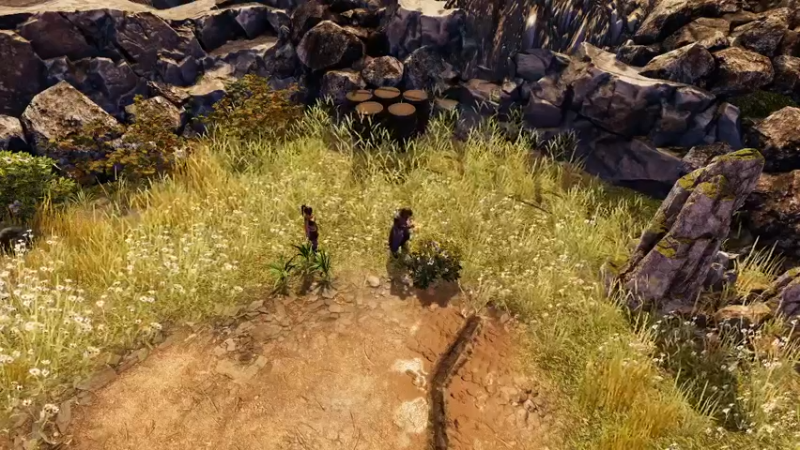 【2021-12-05 02点场】饺子不是包子：饺子的日常游戏