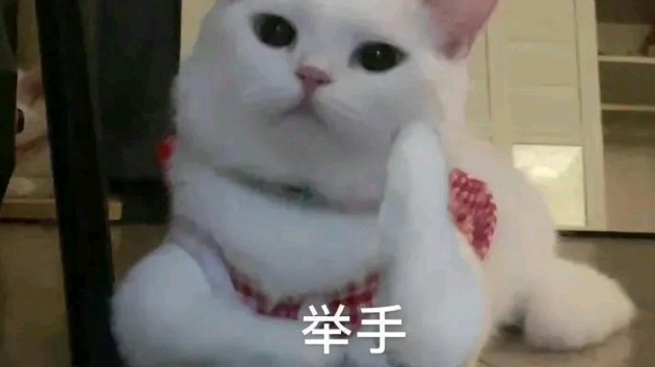 PK翻唱