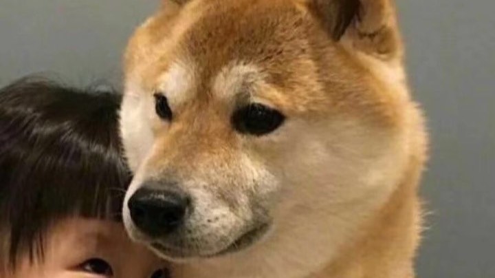 框框混分