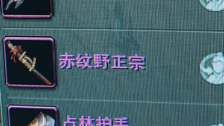 直播回放