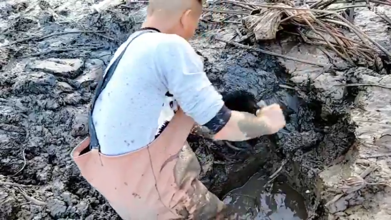 【2021-12-05 16点场】洪湖小肖：今天又是新的一天 447507