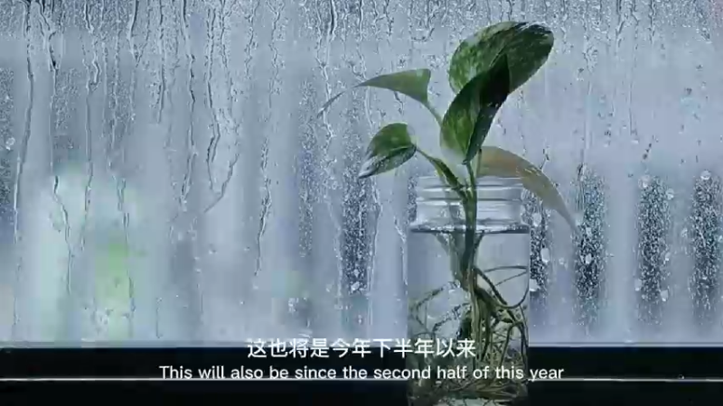 时间过得很快,2021没有秋天,接下来的日子里,穿的多一点,睡的早一点,多喝开水,这个冬天比以往要冷