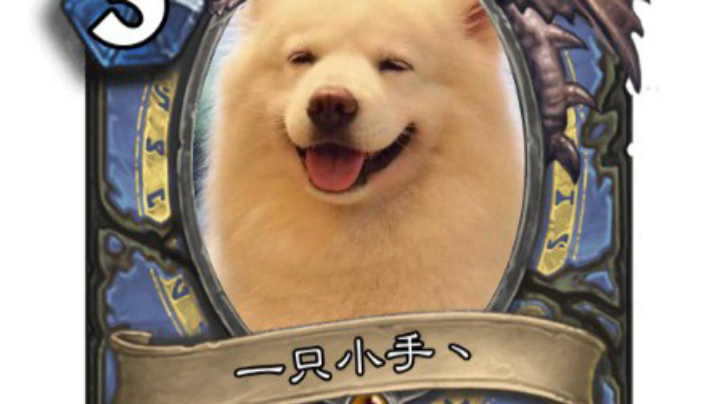打会决斗赚点奥术之尘