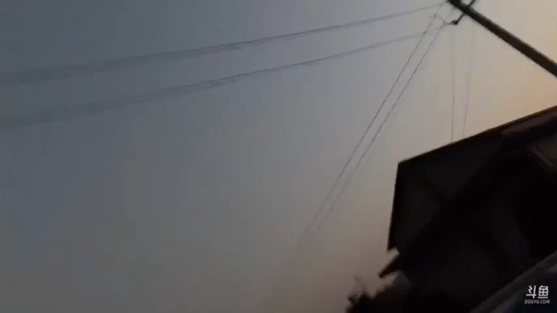 【2021-12-05 18点场】魅力生活i：除害灭鼠行动