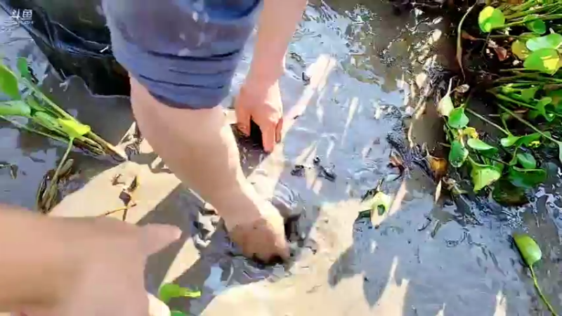 【2021-12-05 14点场】洪湖小肖：今天又是新的一天 447507