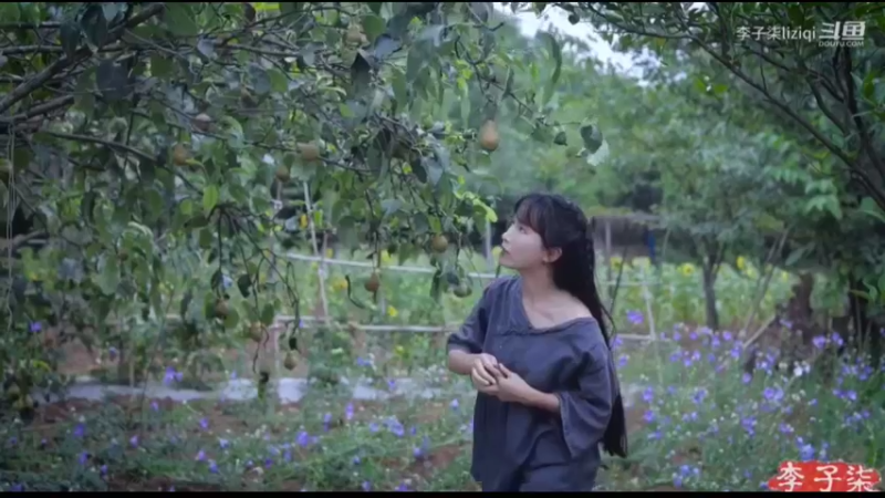 李子柒：农家仙境（2）