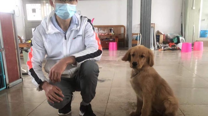 多多母第21天，坐卧躺滚等食训练
