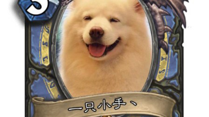 打会决斗赚点奥尘