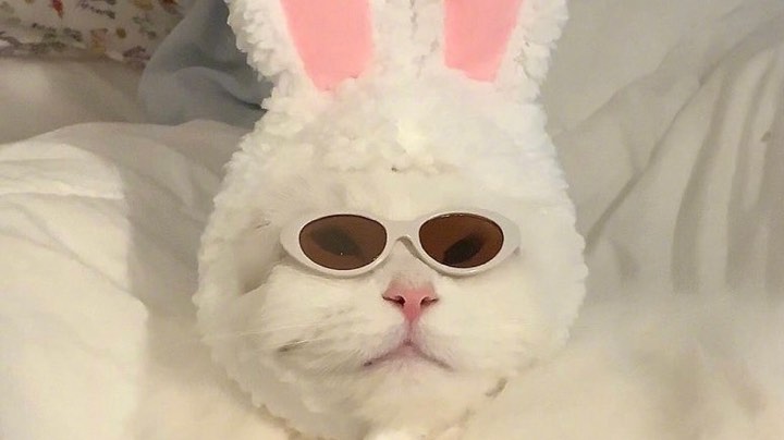 和朋友一起被嘎嘎乱杀