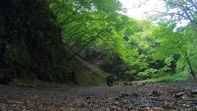 【户外露营】热爱大自然的女孩 忙里偷闲的森林午餐时间_2