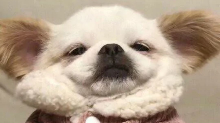 。