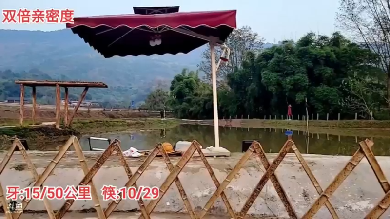 【2021-12-05 17点场】逐梦兄弟：生命在于运动！冲冲冲