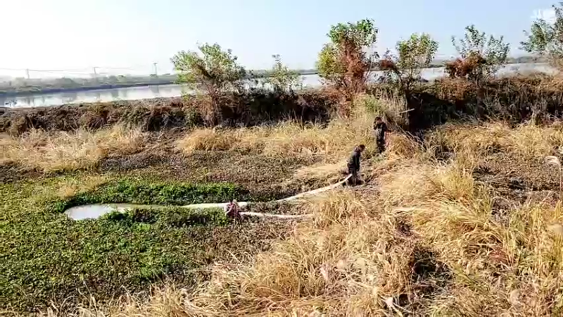 【2021-12-05 12点场】洪湖小肖：今天又是新的一天 447507