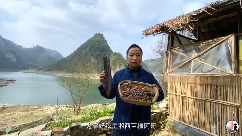 湘西臘肉炒野生幹蘑菇，開胃又下飯，大山里的美味佳餚【湘西苗疆阿哥】 (1)