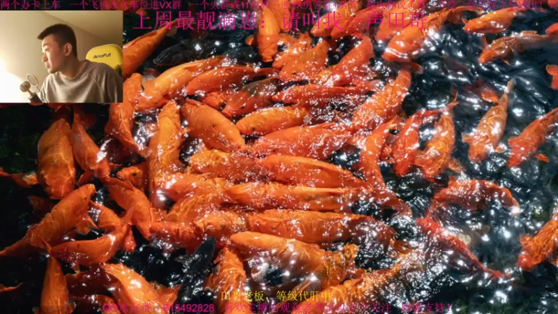 【2021-12-05 14点场】主播世贤：今日2042目标：不破防！~