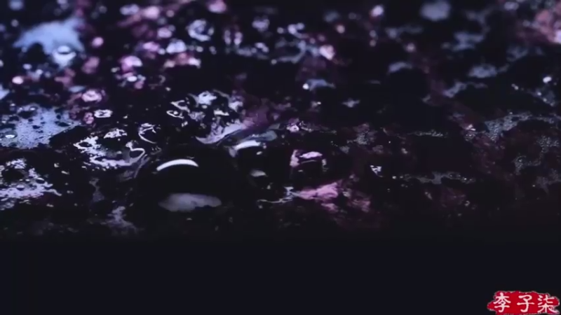 李子柒：手工制衣（11）