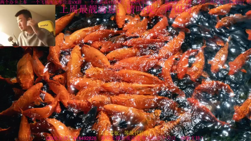 【2021-12-05 12点场】主播世贤：今日2042目标：不破防！~