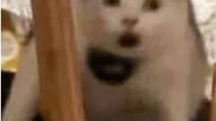 啊…