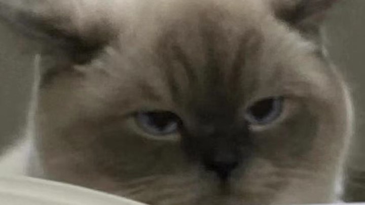 塔科夫你教我学3