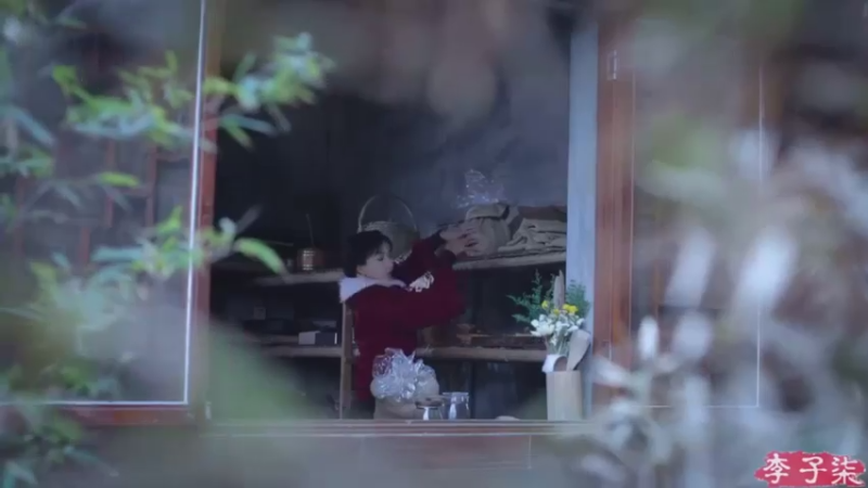 李子柒：田野里的新鲜蔬菜