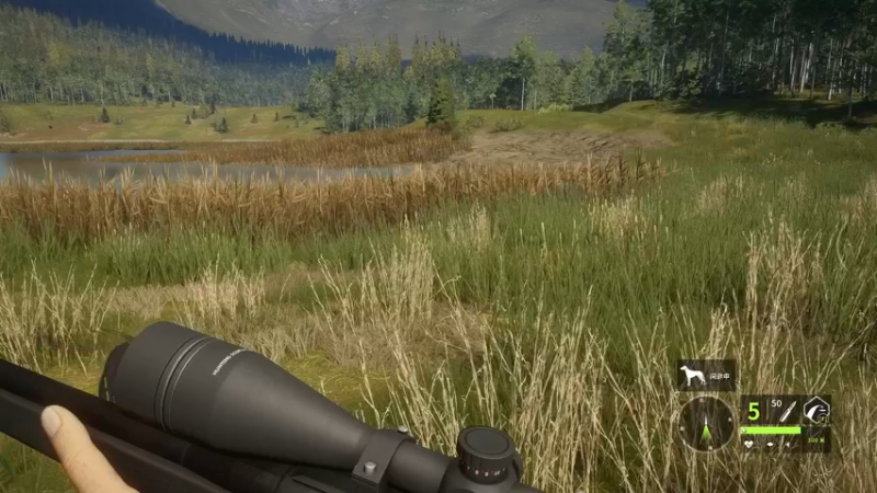 【2021-12-05 21点场】河豚Eric：看一眼就是致命伤！