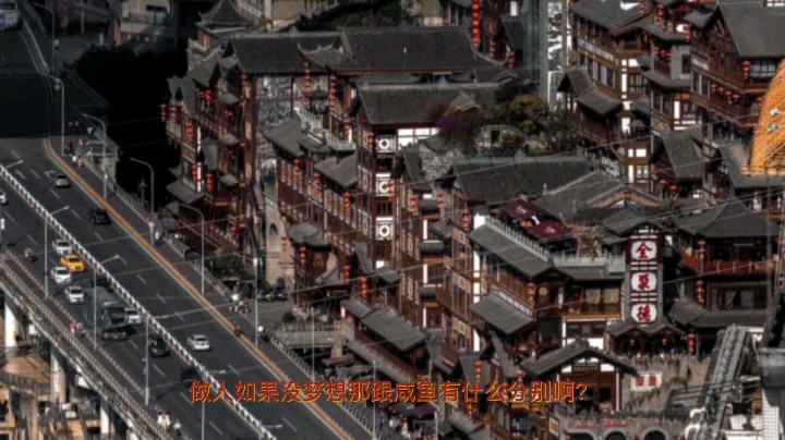 经典语录